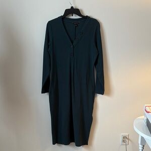 Banana Republic Dark Teal Long Sleeve Dress